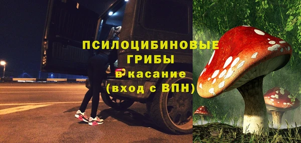 бошки Армянск