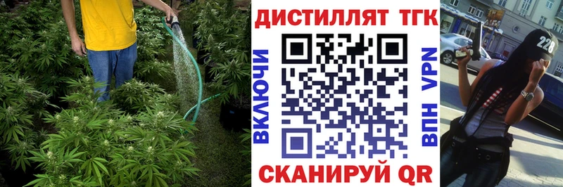 мега ССЫЛКА  Урень  Дистиллят ТГК концентрат  как найти закладки 